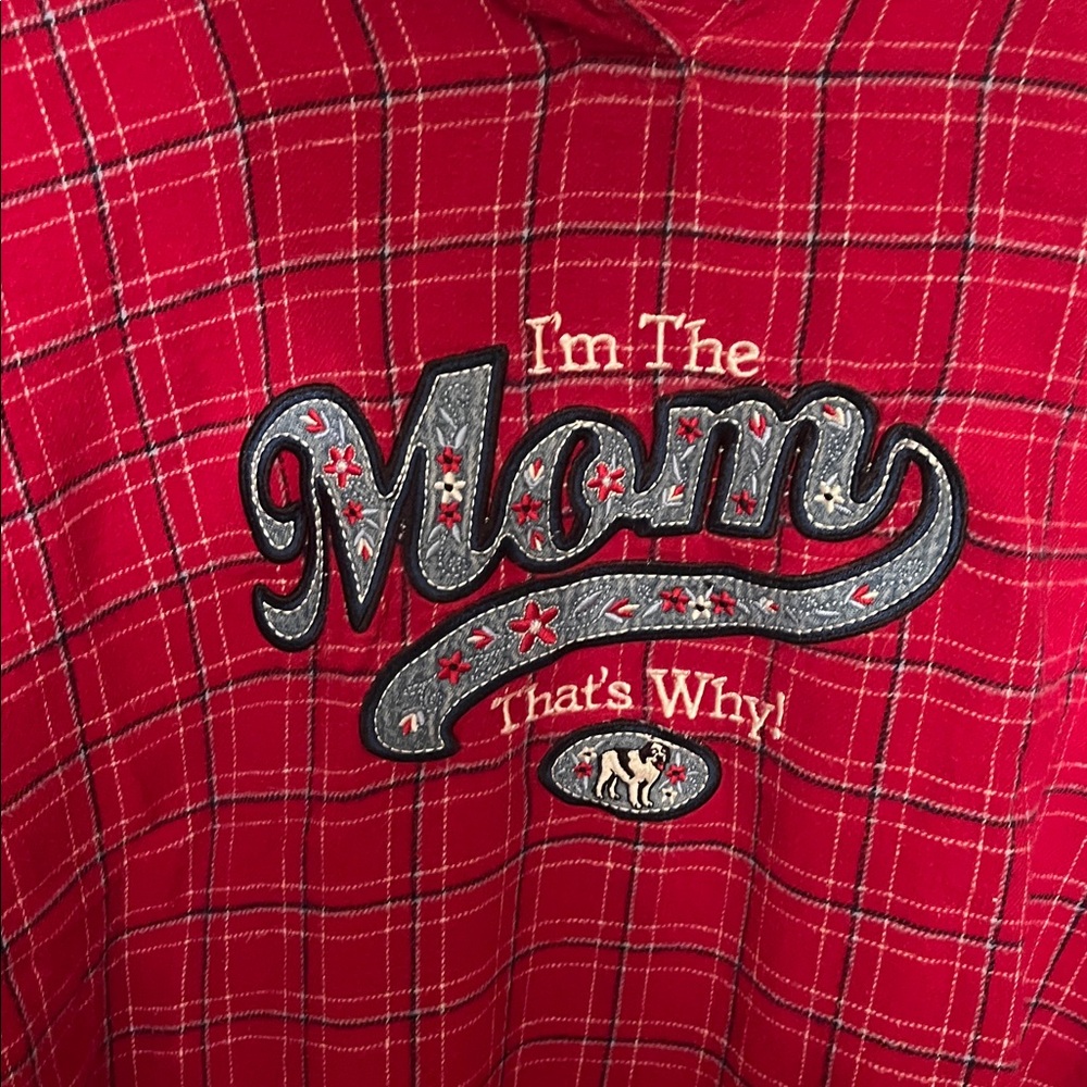 Big Dogs Red Plaid Shirt - Picture 2 of 4